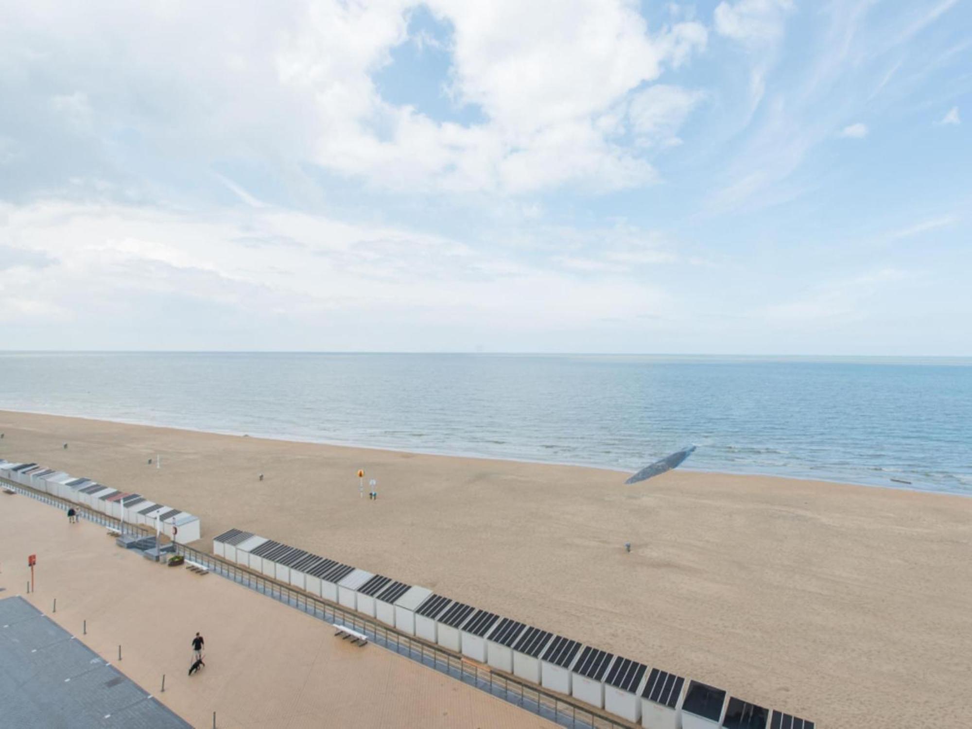 Appartement Great With View